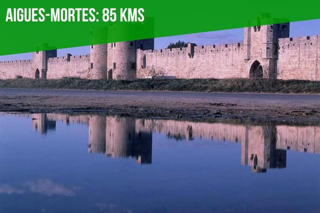 Les Felibres Apartment Авиньон Екстериор снимка